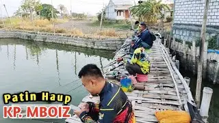 Kembali Lagi‼️Kp. Mboiz