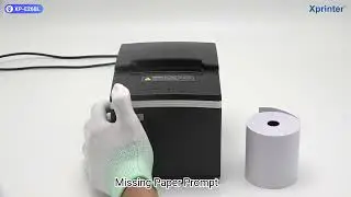 Xprinter XP-E260L, a classic, popular and competitive 80mm receipt printer with various interfaces.