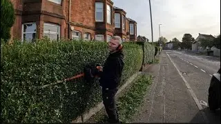 Satisfying Hedge trimming #1