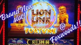 Brand New Lion Link Fortune!!!!