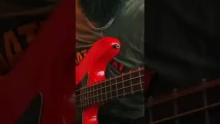 Hammer-ons and pull offs 👌🏽 #bassfeatured #bassguitar #basslesson #basslesson #bassguitarist