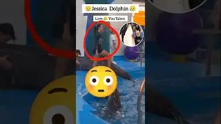 Jessica & Her Dolphin 🐬 | Heartbreaking Friendship Story 💔 | Dolphin Love Forever #Jessica #Dolphin