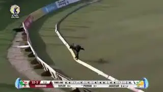 CPL 2020 | St Kitts Patriots vs Guyana Amazon warriors full match highlights | STKNP vs GAW