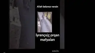 orqan mafyası