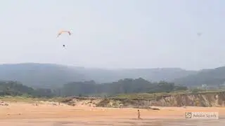 O VICEDO