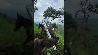 Así es como llegamos a la finca el rescate parte cinco ￼