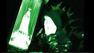 watchmedieslowly - czarne r&oacute;że (official music video)