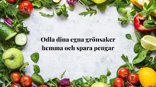 Odla dina egna gr&ouml;nsaker hemma och spara pengar