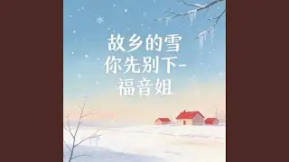 故乡的雪你先别下 (DJ涵哈版)