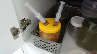 Como conseguir paramécios e criar paramécios.
