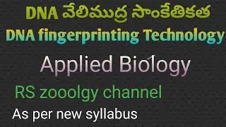 DNA Fingerprinting Technology|Degree first semester