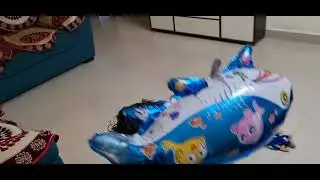ayansh ka new video (5)