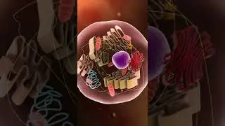 Next‑Wave Bioengineering: How Cell Signaling Technology Will Change Your Health