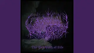 The Silence...