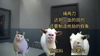 猫meme的真实案件-环环相扣 #猫meme #猫meme剧场 #猫meme小剧场 #内容过于真实  #故事 #貓 #猫猫meme小剧场 #喵不可言