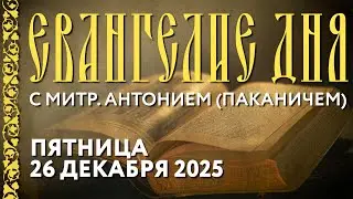 Толкование Евангелия с митр. Антонием (Паканичем). Пятница, 26 декабря 2025 года.