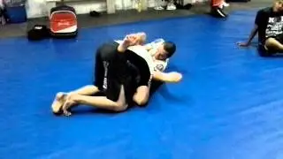 HFC Caseros, bjj submission jiujitsu mma