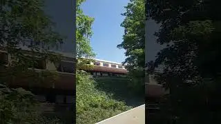 Class 47s Whitchurch to Weymouth. 47828 & 47593. #trains #trainspotting  #class47 #intercity #train