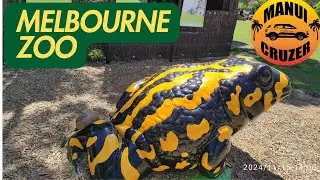 Visit Melbourne Zoo Part 2/3 | Visit more animals at the Zoo, Melbourne Australia