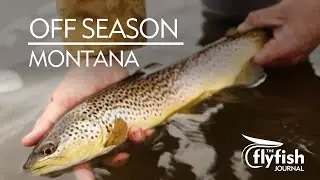 OFF SEASON: Late Fall Flyfishing in Montana with Hilary Hutcheson
