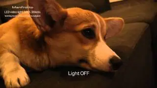 Manfrotto video LED Light (MIDI with 36 leds)