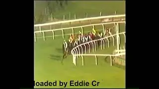 1987 Mackeson Gold Cup Handicap Chase Cheltenham