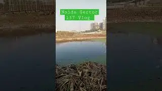 Noida Vlog || Noida Sector 137 Vlog || #noida #noidavlog #noidasector137 #sector137vlog