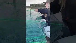 Aapo kalatupa -katiska testiss&auml;!