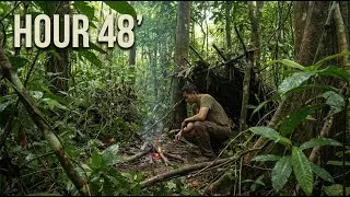 Hour 48 Solo Survival in the Asian Jungle | No Food, Water, Shelter, or Fire