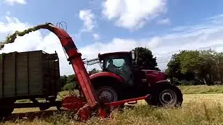 NC Single Chop SILAGE HARVEST part 2