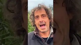 da 14&euro; a 4&euro; al litro per produrre olio, come fare?  Conosciamo un uliveto superintensivo