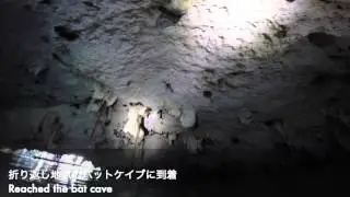 Round the World Trip #11 Cenote 4K