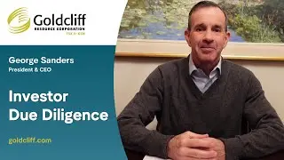 Investor Due Diligence