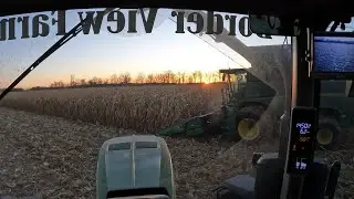 Лучшее поле кукурузы на данный момент!