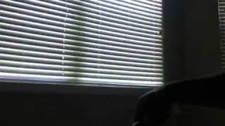 Balibalistic Balisong practice