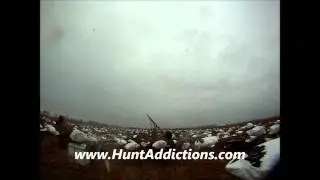 Arkansas Snow Goose Hunting Video