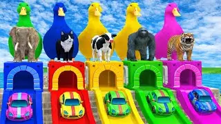 Long Slide Game With Sheep Lion Tiger Gorilla Cheetah 3D Animal Game Funny 3D Animals