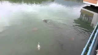 20130519 151859