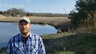 Tom Reed's Springwatch Early Update for April