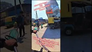 Very Difficult Street Dog Catching up #dog #dogwithpublicsafety #animals #pets #vlog