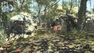 WIFLP - Black Ops Game Clip