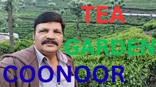 Tea Garden Coonoor#Beauty Of Kokan valley#Riyaz Thokan 