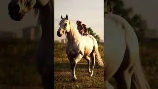Funny Moments😆Monkeys Enjoying White Horse Riding🎠 Satisfying🐒 #monkey #horse #funny#animals #shorts
