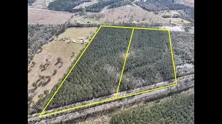 Various Tracts | Zavalla Road | Orange Co., Texas