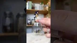Butterfly Pea Flower Tea &ndash; Natural Herbal Tea from Vietnam &ndash; Tr&agrave; Hoa Đậu Biếc Tự Nhi&ecirc;n 💙🌸