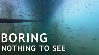 Diving a quarry is better than no diving I Xantener S&uuml;dsee Germany