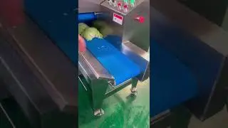 3 Machines to Make Shredder Cabbage/Cabbage De-corer
