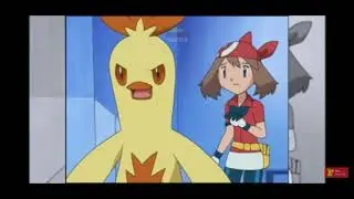 Venuasur vs combusken battle