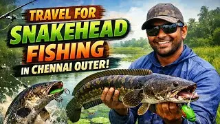 🔴Snakehead Fishing Adventure Outside Chennai | Travel Vlog 🎣