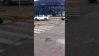 🚨 Ahora: Trabajadores protestan contra los despidos masivos en Petroqu&iacute;mica R&iacute;o Tercero.